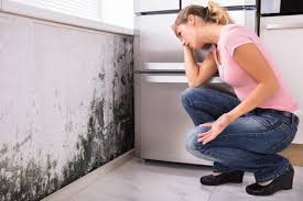 Why You Should Choose Our Mold Remediation Services in Bartonsville, MD